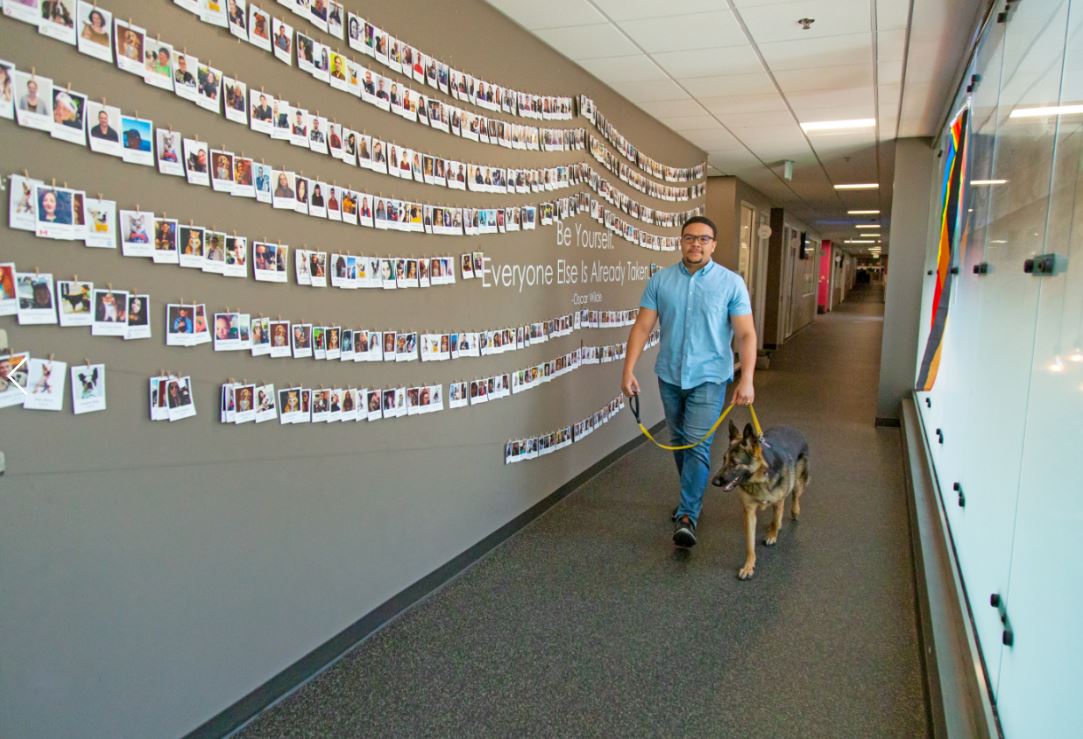 A person and dog walking past Trupanion's employee wall.